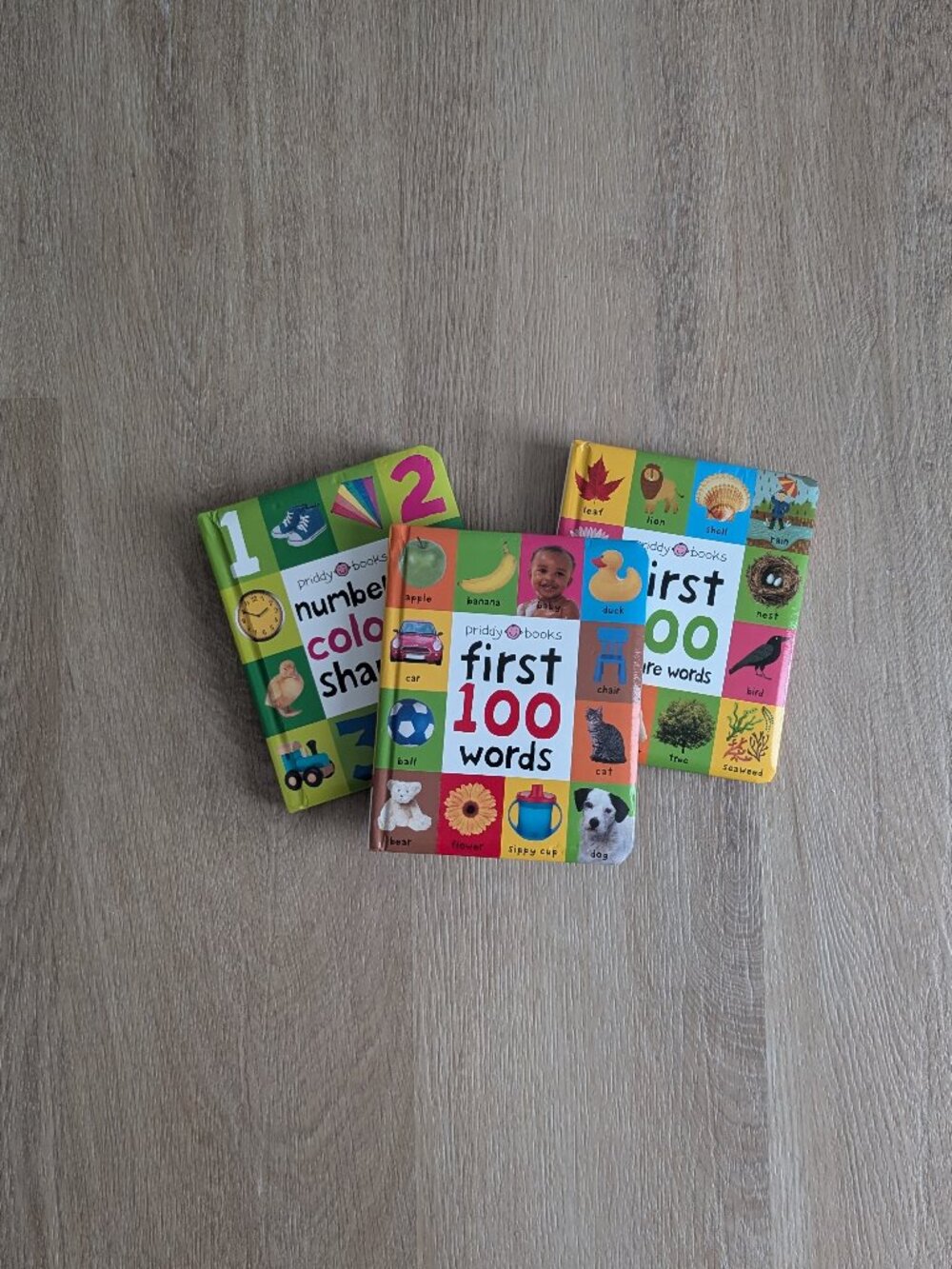 Roger Priddy - First 100 Board Book Box Set (3 books)
